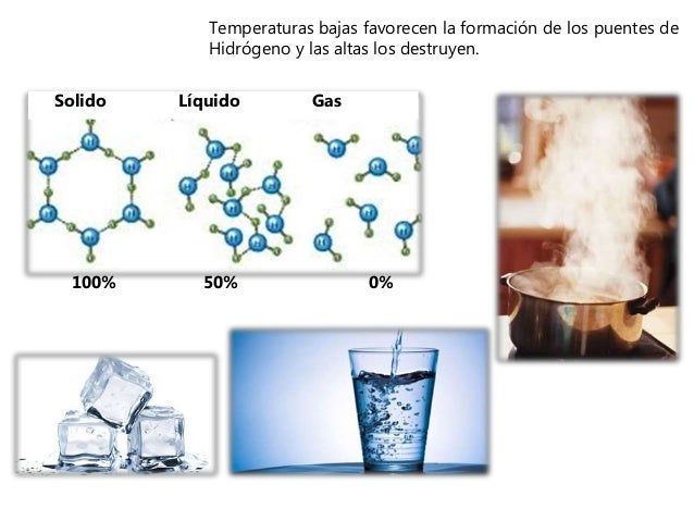 Como Pasar De Kcal A Kj