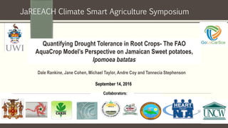 Quantifying Drought Tolerance in Root Crops- The FAO
AquaCrop Model’s Perspective on Jamaican Sweet potatoes,
Ipomoea batatas
Collaborators:
Dale Rankine, Jane Cohen, Michael Taylor, Andre Coy and Tannecia Stephenson
September 14, 2016
JaREEACH Climate Smart Agriculture Symposium
 
