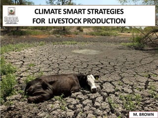 CLIMATE SMART STRATEGIES
FOR LIVESTOCK PRODUCTION
M. BROWN
 