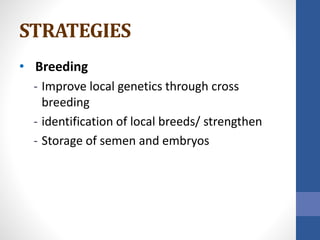 STRATEGIES
• Breeding
- Improve local genetics through cross
breeding
- identification of local breeds/ strengthen
- Storage of semen and embryos
 