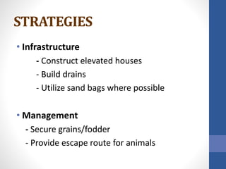STRATEGIES
• Infrastructure
- Construct elevated houses
- Build drains
- Utilize sand bags where possible
• Management
- Secure grains/fodder
- Provide escape route for animals
 