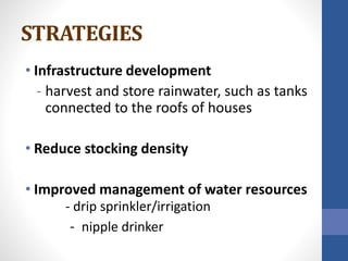 STRATEGIES
• Infrastructure development
- harvest and store rainwater, such as tanks
connected to the roofs of houses
• Reduce stocking density
• Improved management of water resources
- drip sprinkler/irrigation
- nipple drinker
 