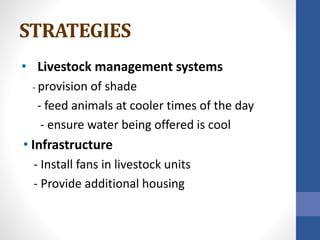 STRATEGIES
• Livestock management systems
- provision of shade
- feed animals at cooler times of the day
- ensure water being offered is cool
• Infrastructure
- Install fans in livestock units
- Provide additional housing
 
