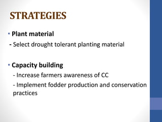 STRATEGIES
• Plant material
- Select drought tolerant planting material
• Capacity building
- Increase farmers awareness of CC
- Implement fodder production and conservation
practices
 
