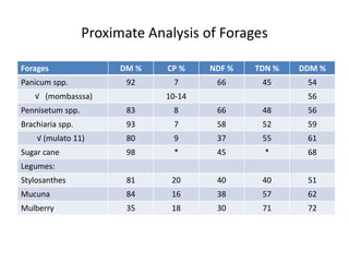 Proximate Analysis of Forages
Forages DM % CP % NDF % TDN % DDM %
Panicum spp. 92 7 66 45 54
√ (mombasssa) 10-14 56
Pennisetum spp. 83 8 66 48 56
Brachiaria spp. 93 7 58 52 59
√ (mulato 11) 80 9 37 55 61
Sugar cane 98 * 45 * 68
Legumes:
Stylosanthes 81 20 40 40 51
Mucuna 84 16 38 57 62
Mulberry 35 18 30 71 72
 