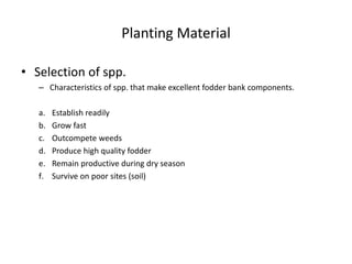 Planting Material
• Selection of spp.
– Characteristics of spp. that make excellent fodder bank components.
a. Establish readily
b. Grow fast
c. Outcompete weeds
d. Produce high quality fodder
e. Remain productive during dry season
f. Survive on poor sites (soil)
 
