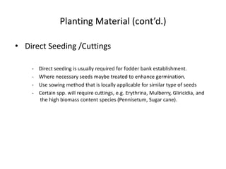 Planting Material (cont’d.)
• Direct Seeding /Cuttings
- Direct seeding is usually required for fodder bank establishment.
- Where necessary seeds maybe treated to enhance germination.
- Use sowing method that is locally applicable for similar type of seeds
- Certain spp. will require cuttings, e.g. Erythrina, Mulberry, Gliricidia, and
the high biomass content species (Pennisetum, Sugar cane).
 