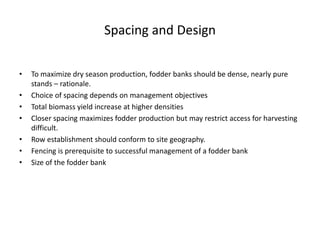 Spacing and Design
• To maximize dry season production, fodder banks should be dense, nearly pure
stands – rationale.
• Choice of spacing depends on management objectives
• Total biomass yield increase at higher densities
• Closer spacing maximizes fodder production but may restrict access for harvesting
difficult.
• Row establishment should conform to site geography.
• Fencing is prerequisite to successful management of a fodder bank
• Size of the fodder bank
 