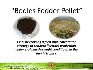 ResearchandDevelopmentDivision
LivestockResearchandImprovementUnit
“Bodles Fodder Pellet”
Title: Developing a feed supplementation
strategy to enhance livestock production
under prolonged drought conditions, in the
humid tropics.
 