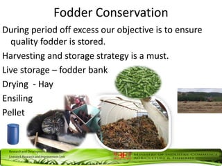ResearchandDevelopmentDivision
LivestockResearchandImprovementUnit
Fodder Conservation
During period off excess our objective is to ensure
quality fodder is stored.
Harvesting and storage strategy is a must.
Live storage – fodder bank
Drying - Hay
Ensiling
Pellet
 
