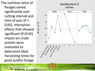 ResearchandDevelopmentDivision
LivestockResearchandImprovementUnit
The nutritive value of
forages varied
significantly over
cutting interval and
time of year (P <
0.05). Interactive
effects that showed
significant (P<0.05)
impact on crude
protein were
evaluated to
determine ideal
harvesting times for
good quality forage.
 