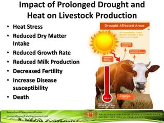 ResearchandDevelopmentDivision
LivestockResearchandImprovementUnit
Impact of Prolonged Drought and
Heat on Livestock Production
• Heat Stress
• Reduced Dry Matter
Intake
• Reduced Growth Rate
• Reduced Milk Production
• Decreased Fertility
• Increase Disease
susceptibility
• Death
 
