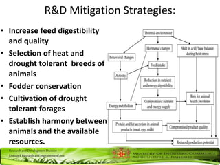 ResearchandDevelopmentDivision
LivestockResearchandImprovementUnit
R&D Mitigation Strategies:
• Increase feed digestibility
and quality
• Selection of heat and
drought tolerant breeds of
animals
• Fodder conservation
• Cultivation of drought
tolerant forages
• Establish harmony between
animals and the available
resources.
 
