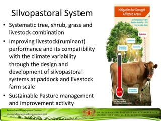 ResearchandDevelopmentDivision
LivestockResearchandImprovementUnit
Silvopastoral System
• Systematic tree, shrub, grass and
livestock combination
• Improving livestock(ruminant)
performance and its compatibility
with the climate variability
through the design and
development of silvopastoral
systems at paddock and livestock
farm scale
• Sustainable Pasture management
and improvement activity
 