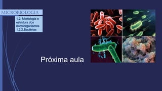 mICROBIOLOGIA
1.2. Morfologia e
estrutura dos
microorganismos
1.2.2.Bactérias
Próxima aula
 