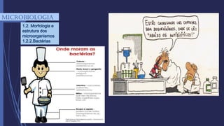 mICROBIOLOGIA
1.2. Morfologia e
estrutura dos
microorganismos
1.2.2.Bactérias
 