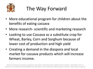 The Way Forward
• More educational program for children about the
benefits of eating cassava
• More research- scientific and marketing research
• Looking to use Cassava as a substitute crop for
Wheat, Barley, Corn and Sorghum because of
lower cost of production and high yield
• Creating a demand in the diaspora and local
market for cassava products which will increase
farmers income.
Ministry of Industry, Commerce, Agriculture, & Fisheries, Research Division; Bodles Research Station , Old Harbour P.O., St.
Catherine. Tel: (876) 983 2267/2281/2842 Fax: 983-2822; E-mail: bodlesresarch@moa.gov.jm; Website: http//:www.moa.gov.jm
 