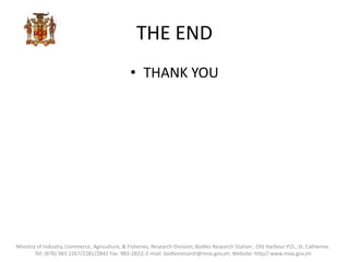 THE END
• THANK YOU
Ministry of Industry, Commerce, Agriculture, & Fisheries, Research Division; Bodles Research Station , Old Harbour P.O., St. Catherine.
Tel: (876) 983 2267/2281/2842 Fax: 983-2822; E-mail: bodlesresarch@moa.gov.jm; Website: http//:www.moa.gov.jm
 
