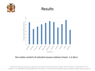 Results
0
5
10
15
20
25
30
35
40
meandrymatter(DM)content(%)
accessions
Dry matter content of selected cassava cultivars (mean ± st dev.)
Ministry of Industry, Commerce, Agriculture, & Fisheries, Research Division; Bodles Research Station , Old Harbour P.O., St.
Catherine. Tel: (876) 983 2267/2281/2842 Fax: 983-2822; E-mail: bodlesresarch@moa.gov.jm; Website: http//:www.moa.gov.jm
 