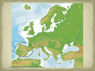 Δόθηκε έμφαση στον
άνθρωπο & τις δυνατότητές
του.
Καραγκούνη Μαρία
Επιμέλεια: Χρήστος Χαρμπής http://st-taksh.blogspot.gr σελ.107
 