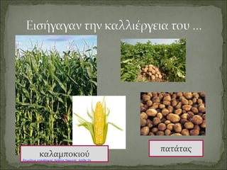 Προτεστάντες ‡ Καθολικοί
Καραγκούνη Μαρία
Επιμέλεια: Χρήστος Χαρμπής http://st-taksh.blogspot.gr σελ.57
 