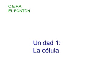 C.E.P.A.
EL PONTÓN
Unidad 1:
La célula
 