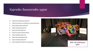 Эс | PPT