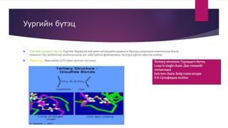 Эс | PPT
