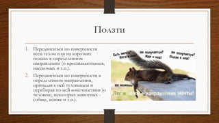 Ползти
1. Передвигаться по поверхности
всем телом или на коротких
ножках в определенном
направлении (о пресмыкающихся,
насекомых и т.п.).
2. Передвигаться по поверхности в
определенном направлении,
припадая к ней туловищем и
перебирая по ней конечностями (о
человеке, некоторых животных -
собаке, кошке и т.п.).
 