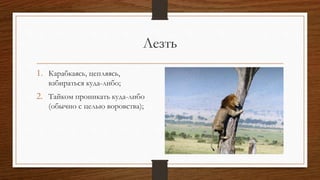 Лезть
1. Карабкаясь, цепляясь,
взбираться куда-либо;
2. Тайком проникать куда-либо
(обычно с целью воровства);
 