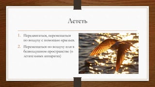Лететь
1. Передвигаться, перемещаться
по воздуху с помощью крыльев.
2. Перемещаться по воздуху или в
безвоздушном пространстве (о
летательных аппаратах)
 