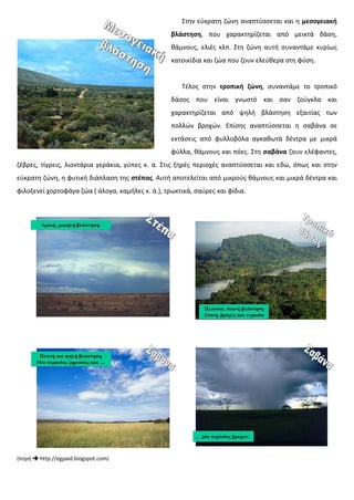 Στην εύκρατη ζώνη αναπτύσσεται και η μεσογειακή
βλάστηση, που χαρακτηρίζεται από μεικτά δάση,
θάμνους, ελιές κλπ. Στη ζώνη αυτή συναντάμε κυρίως
κατοικίδια και ζώα που ζουν ελεύθερα στη φύση.
Τέλος στην τροπική ζώνη, συναντάμε το τροπικό
δάσος που είναι γνωστό και σαν ζούγκλα και
χαρακτηρίζεται από ψηλή βλάστηση εξαιτίας των
πολλών βροχών. Επίσης αναπτύσσεται η σαβάνα σε
εκτάσεις από φυλλοβόλα αγκαθωτά δέντρα με μικρά
φύλλα, θάμνους και πόες. Στη σαβάνα ζουν ελέφαντες,
ζέβρες, τίγρεις, λιοντάρια γεράκια, γύπες κ. α. Στις ξηρές περιοχές αναπτύσσεται και εδώ, όπως και στην
εύκρατη ζώνη, η φυτική διάπλαση της στέπας. Αυτή αποτελείται από μικρούς θάμνους και μικρά δέντρα και
φιλοξενεί χορτοφάγα ζώα ( άλογα, καμήλες κ. ά.), τρωκτικά, σαύρες και φίδια.
(πηγή  http://egpaid.blogspot.com)
Επιμέλεια επανάληψης: Χρήστος Χαρμπής σελ. 67
 