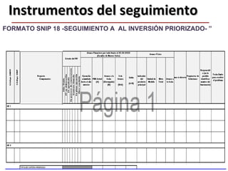 38
FORMATO SNIP 18 -SEGUIMIENTO A AL INVERSIÓN PRIORIZADO- ”
Instrumentos del seguimientoInstrumentos del seguimiento
 