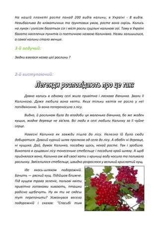 На нашій планеті росте понад 200 видів калини, в Україні - 8 видів.
Невибаглива до кліматичних та ґрунтових умов, росте вона скрізь. Колись
на луках і узліссях багатьох сіл і міст росли суцільні калинові гаї. Тому в Україні
багато населених пунктів із поетичною назвою Калинівка. Назви залишилися,
а самої калини стало менше.
3-й ведучий:
Звідки взялася назва цієї рослини ?
2-й виступаючий:
Давно колись в одному селі жила привітна і ласкава дівчинка. Звали її
Калинкою. Дуже любила вона квіти. Яких тільки квітів не росло у неї
попідвіконню. Їх вона попереносила з лісу.
Видно, й рослинам була до вподоби ця маленька дівчинка, бо же жоден
кущик, жодне деревце не зів'яло. Всі люди в селі любили Калинку за її чуйне
серце.
Навесні Калинка як завжди пішла до лісу. Нелегко їй було сюди
добиратися. Довгий курний шлях пролягав од села до лісу. А обабіч ні деревця,
ні кущика. Дай, думає Калинка, посаджу щось, нехай росте. Так і зробила.
Викопала в гущавині лісу тонесеньке стебельце і посадила край шляху. А щоб
прийнялося воно, Калинка аж від своєї хати з криниці воду носила та поливала
рослинку. Звеселилося стебельце, швидко розрослося у великий крислатий кущ.
Іде якось-шляхом подорожній.
Бачить — рясний кущ. Підійшов ближче.
Під кущем трава зеленіє, польові квіти
привітно голівками кивають, пташки
радісно щебечуть. Ну як ти не сядеш
тут перепочити? Усміхнувся весело
подорожній і сказав: "Спасибі тим
 