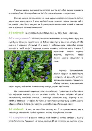 У декого суниці викликають алергію, але їх все одно можна вживати
через півгодини після прийняття їжі або разом з іншими продуктами.
Суницю можна заготовляти на зиму (сушити ягоди, квіточки та листя)
ця рослина корисна вся. А коли надворі завіє, замете снігом, завари чай із
висушеної суниці і ти відчуєш, як її цілюща сила вливається в тебе з кожним
новим ковтком ароматного напою.
2-й ведучий: Трохи згодом ліс подарує тобі ще одне диво - чорницю.
6-й виступаючий: Росте ця ягода на маленьких розгалужених кущиках
з дрібним зеленим листячком на бідних ґрунтах у вологих місцях. Ягода
смачна і корисна. Скуштуй її. і вона із задоволенням пофарбує твого
ротика у синій колір! З чорниць варять варення, роблять муси, джеми. З
чорницями печуть пироги,
пиріжки, вареники. Ягоди
також можна насушити на
зиму.
Чорниці допомагають
людям, хворим на ревматизм,
гастрит, на розлади шлунку.
Чорницями лікують порушення
обміну речовин, захворювання
шкіри, нирок, недокрів'я. Вона і ангіну вилікує, і опіки знеболить.
Вся рослина має лікувальну дію - і стебельце, і листочки, і ягідки. А ще
про чорницю кажуть, що це космічна ягода, бо вона зміцнює здоров'я
космонавтів, особливо шлунок, і поліпшує гостроту зору. Чорниць в лісі
багато, особливо - у червні та липні, а найбільшу цілющу силу мають ягоди,
зібрані на Івана Купала. Так кажуть у народі, а народ знає, що каже!
3-й ведучий: А хто не полюбляє малину та її сестрицю ожину, яку в
народі ще називають скупою травою. А чому, послухайте легенду.
7-й виступаючий: В одном селении жил богатый скупой человек и было у
него две дочери. Красивые, но очень жадные. Из-за скупости их никто в жены
 