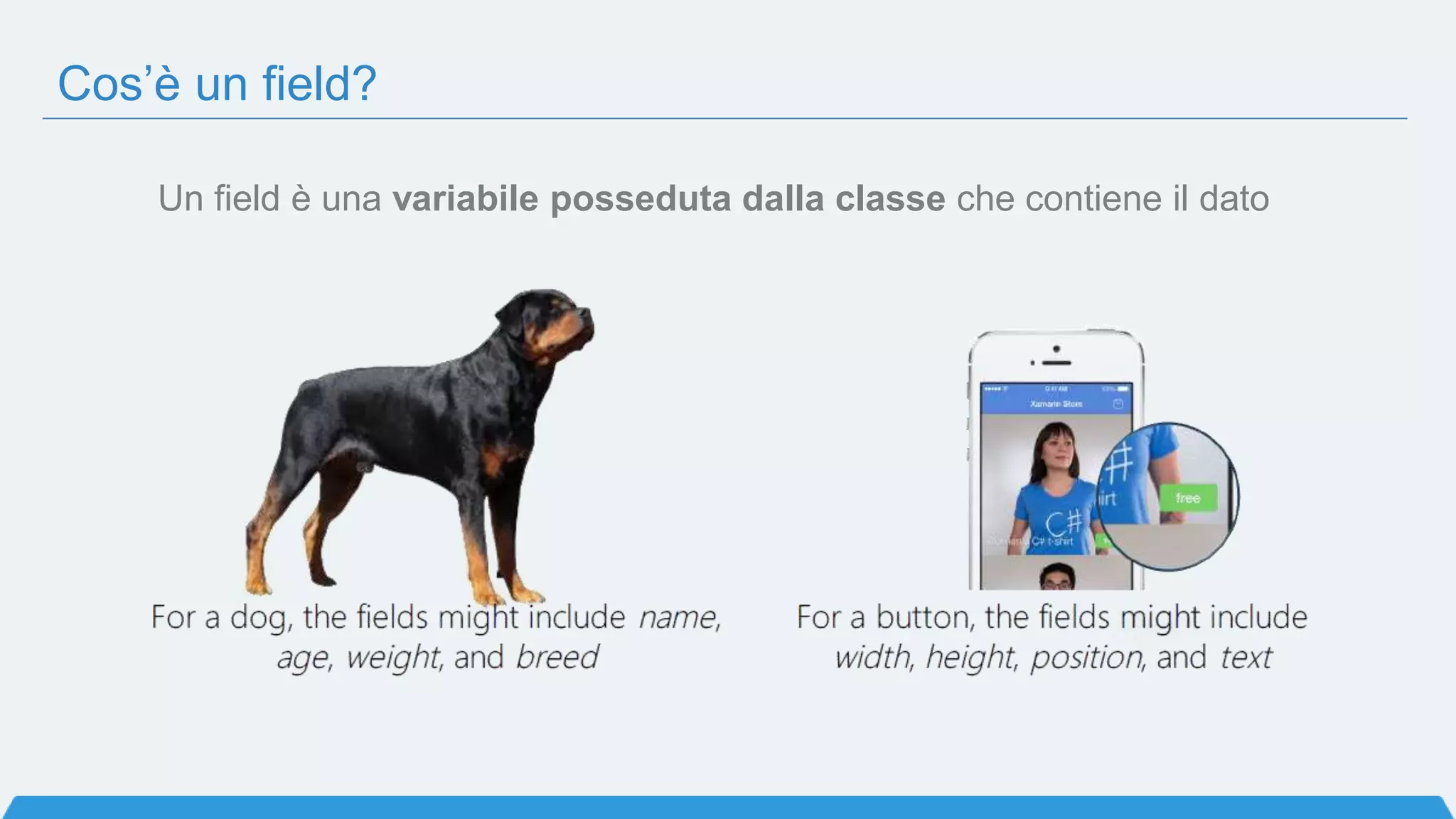 Cos’è un field?
Un field è una variabile posseduta dalla classe che contiene il dato
 