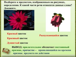 Подберите к предметам, изображенным на рисунках,
определения. К какой части речи относятся данные слова?
Докажите.
Красный цветок
Красивый цветок
Душистый цветок
Распускающийся цветок
ВЫВОД: прилагательное обозначает постоянный
признак, причастие – проявляющийся во времени
признак предмета по действию
 