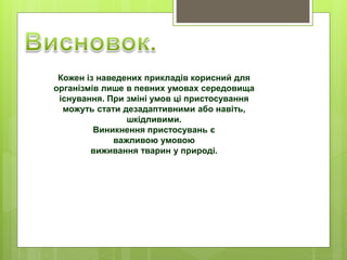 Кожен із наведених прикладів корисний для
організмів лише в певних умовах середовища
існування. При зміні умов ці пристосування
можуть стати дезадаптивними або навіть,
шкідливими.
Виникнення пристосувань є
важливою умовою
виживання тварин у природі.
 
