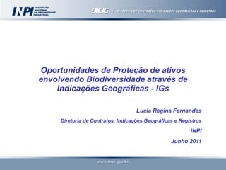 Oportunidades de Proteção de ativos
envolvendo Biodiversidade através de
Indicações Geográficas - IGs
Lucia Regina Fernandes
Diretoria de Contratos, Indicações Geográficas e Registros
INPI
Junho 2011
 