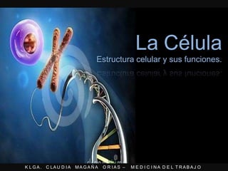K L G A . C LA U D I A MA G A Ñ A O R I A S – M E D I C I N A D E L T R A B A J O
La Célula
Estructura celular y sus funciones.
 