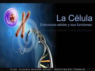K L G A . C L A U D I A M A G A Ñ A O R I A S – M E D I C I N A D E L T R A B A J O
La Célula
Estructura celular y sus funciones.
 