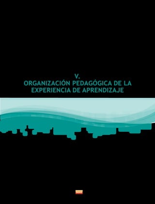 V.
ORGANIZACIÓN PEDAGÓGICA DE LA
EXPERIENCIA DE APRENDIZAJE
 