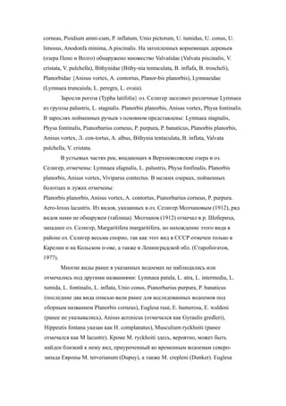 corneas, Pisidium amni-cum, P. inflatum, Unio pictorum, U. tumidus, U. conus, U.
limosus, Anodonfa minima, A piscinalis. На затопленных корневищах деревьев
(озера Пено и Волго) обнаружено множество Valvatidae (Valvata piscinalis, V.
cristata, V. pulchella), Bithynidae (Bithy-nia tentaculata, B. inflafa, B. troscheli),
Planorbidae {Anisus vortex, A. contortus, Planor-bis planorbis), Lymnaeidae
(Lymnaea truncaiula, L. peregra, L. ovaia).
Заросли рогоза (Typha latifolia} оз. Селигер заселяют различные Lymnaea
из группы palustris, L. stagnalis. Planorbis planorbis, Anisus vortex, Physa fontinalis.
В зарослях пойменных ручьев з основном представлены: Lymnaea stagnalis,
Physa fontinalis, Pianorbarius corneus, P. purpura, P. banaticus, Planorbis planorbis,
Anisus vortex, Л. con-tortus, A. albus, Bithynia tentaculata, B. inflata, Valvata
pulchella, V. cristata.
В устьевых частях рек, впадающих в Верхневолжские озера и оз.
Селигер, отмечены: Lymnaea sfagnalis, L. palustris, Physa fonfinalis, Planorbis
planorbis, Anisus vortex, Viviparus contectus. В мелких озерках, пойменных
болотцах и лужах отмечены:
Planorbis planorbis, Anisus vortex, A. contortus, Pianorbarius corneus, P. purpura.
Aero-loxus lacustris. Из видов, указанных в оз. Селигер Молчановым (1912), ряд
видов нами не обнаружен (таблица). Молчанов (1912) отмечал в р. Шебериха,
западнее оз. Селигер, Margaritifera margaritifera, но нахождение этого вида в
районе оз. Селигер весьма спорно, так как этот вид в СССР отмечен только в
Карелии и на Кольском п-ове, а также в Ленинградской обл. (Старобогатов,
1977).
Многие виды ранее в указанных водоемах не наблюдались или
отмечались под другими названиями: Lymnaea patula, L. atra, L. intermedia, L.
tumida, L. fontinalis, L. inflata, Unio conus, Pianorbarius purpura, P. banaticus
(последние два вида описью вали ранее для исследованных водоемов под
сборным названием Planorbis corneus), Euglesa ruut, E. humerosa, E. waldeni
(ранее не указывались), Anisus acronicus (отмечался как Gyraulis gredleri),
Hippeutis fontana указан как Н. complanatus), Musculium ryckhoiti (ранее
отмечался как М lacustre). Кроме М. ryckhoiti здесь, вероятно, может быть
найден близкий к нему вид, приуроченный ко временным водоемам северо-
запада Европы М. terverianum (Dupuy), а также М. crepleni (Dunker). Euglesa
 