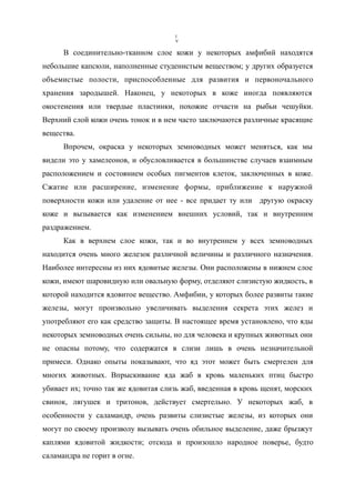 В соединительно-тканном слое кожи у некоторых амфибий находятся
небольшие капсюли, наполненные студенистым веществом; у других образуется
объемистые полости, приспособленные для развития и первоночального
хранения зародышей. Наконец, у некоторых в коже иногда появляются
окостенения или твердые пластинки, похожие отчасти на рыбьи чешуйки.
Верхний слой кожи очень тонок и в нем часто заключаются различные красящие
вещества.
Впрочем, окраска у некоторых земноводных может меняться, как мы
видели это у хамелеонов, и обусловливается в большинстве случаев взаимным
расположением и состоянием особых пигментов клеток, заключенных в коже.
Сжатие или расширение, изменение формы, приближение к наружной
поверхности кожи или удаление от нее - все придает ту или другую окраску
коже и вызывается как изменением внешних условий, так и внутренним
раздражением.
Как в верхнем слое кожи, так и во внутреннем у всех земноводных
находится очень много железок различной величины и различного назначения.
Наиболее интересны из них ядовитые железы. Они расположены в нижнем слое
кожи, имеют шаровидную или овальную форму, отделяют слизистую жидкость, в
которой находится ядовитое вещество. Амфибии, у которых более развиты такие
железы, могут произвольно увеличивать выделения секрета этих желез и
употребляют его как средство защиты. В настоящее время установлено, что яды
некоторых земноводных очень сильны, но для человека и крупных животных они
не опасны потому, что содержатся в слизи лишь в очень незначительной
примеси. Однако опыты показывают, что яд этот может быть смертелен для
многих животных. Впрыскивание яда жаб в кровь маленьких птиц быстро
убивает их; точно так же ядовитая слизь жаб, введенная в кровь щенят, морских
свинок, лягушек и тритонов, действует смертельно. У некоторых жаб, в
особенности у саламандр, очень развиты слизистые железы, из которых они
могут по своему произволу вызывать очень обильное выделение, даже брызжут
каплями ядовитой жидкости; отсюда и произошло народное поверье, будто
саламандра не горит в огне.
I
V
 