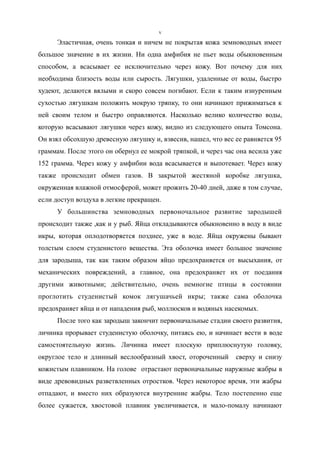 Эластичная, очень тонкая и ничем не покрытая кожа земноводных имеет
большое значение в их жизни. Ни одна амфибия не пьет воды обыкновенным
способом, а всасывает ее исключительно через кожу. Вот почему для них
необходима близость воды или сырость. Лягушки, удаленные от воды, быстро
худеют, делаются вялыми и скоро совсем погибают. Если к таким изнуренным
сухостью лягушкам положить мокрую тряпку, то они начинают прижиматься к
ней своим телом и быстро оправляются. Насколько велико количество воды,
которую всасывают лягушки через кожу, видно из следующего опыта Томсона.
Он взял обсохшую древесную лягушку и, взвесив, нашел, что вес ее равняется 95
граммам. После этого он обернул ее мокрой тряпкой, и через час она весила уже
152 грамма. Через кожу у амфибии вода всасывается и выпотевает. Через кожу
также происходит обмен газов. В закрытой жестяной коробке лягушка,
окруженная влажной отмосферой, может прожить 20-40 дней, даже в том случае,
если доступ воздуха в легкие прекращен.
У большинства земноводных первоночальное развитие зародышей
происходит также ,как и у рыб. Яйца откладываются обыкновенно в воду в виде
икры, которая оплодотворяется позднее, уже в воде. Яйца окружены бывают
толстым слоем студенистого вещества. Эта оболочка имеет большое значение
для зародыша, так как таким образом яйцо предохраняется от высыхания, от
механических повреждений, а главное, она предохраняет их от поедания
другими животными; действительно, очень немногие птицы в состоянии
проглотить студенистый комок лягушачьей икры; также сама оболочка
предохраняет яйца и от нападения рыб, моллюсков и водяных насекомых.
После того как зародыш закончит первоначальные стадии своего развития,
личинка прорывает студенистую оболочку, питаясь ею, и начинает вести в воде
самостоятельную жизнь. Личинка имеет плоскую приплюснутую головку,
округлое тело и длинный веслообразный хвост, отороченный сверху и снизу
кожистым плавником. На голове отрастают первоначальные наружные жабры в
виде древовидных разветвленных отростков. Через некоторое время, эти жабры
отпадают, и вместо них образуются внутренние жабры. Тело постепенно еще
более сужается, хвостовой плавник увеличивается, и мало-помалу начинают
V
 