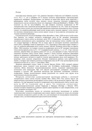 Отсюда
подставив сюда значение для  = 4/3, даваемое Лангером и Тореллом для Calliphora, получим,
что n =0.2, т. е. что у Calliphora 20 % молекул пигмента ориентировано перпендикулярно
поверхности мембраны. Распространять эти выводы на какие-либо другие виды животных с
рабдомерным типом сетчатки глаза, конечно, нельзя, поскольку величина коэффициента
дихроичности для них неизвестна. Более того, Буркхардт и Вендлер (Burkhardt u. Wendler, 1960)
получили на той же мухе Calliphora, что при повороте плоскости поляризации на 90°
электрический ответ одиночной ретинулярной клетки изменяется на 15%. Такое же изменение
величины ответа клетки они получили при двукратном изменении интенсивности света. Отсюда
следует, что дихроизм рабдомера такой клетки должен иметь значение порядка 2, если считать,
что величина электрического ответа клетки зависит только от числа квантов, поглощенных зри-
тельным пигментом рабдомера.
Сходный результат получили Кувабара и Нака (Kuwabara a. Naka, 1959) на мухе Lucilia caesar.
Они показали, что поворот плоскости поляризации света на 90° вызывает уменьшение
электрического ответа клетки на величину около 20%. К сожалению, эти авторы не измерили
изменение интенсивности света, вызывающее такое же уменьшение ответа, подобно тому как
это сделали Буркхардт и Вендлер. Тем не менее даже на основании величины уменьшения
ответа (20% у Кувабара п Нака по сравнению с 15% у Буркхардта и Вендлера) можно говорить о
том, что дихроизм рабдомеров мухи Lucilia, видимо, невелик. Недавние опыты Шоу на саранче
(Shaw, 1966) показали, что поворот плоскости поляризации света на 90° вызывает уменьшение
ответа ретинулярной клетки на 0.1—0.7 логарифмической единицы, т. е. в 1.25—5 раз. Среднее
значение, даваемое Шоу для саранчи, равно 0.37 лог. ед., или примерно 2.3 раза. Такое большое
изменение величины ответа клетки может говорить о более сильном дихроизме рабдомеров
саранчи но сравнению с рабдомерами двукрылых, т.е. о том, что у саранчи дипольные моменты
молекул зрительного пигмента в какой-то степени ориентированы вдоль осей микровилл. По-
видимому, очень сильным дихроизмом обладают микровиллы рабдома глаза краба Carcinus
maenas, у которого при повороте плоскости поляризации света на 90° ответ ретинулярной клетки
изменялся на 0.89 лог ед., или в 7.7 раза (Shaw, 1966).
Дихроизм рабдомеров следует также из опытов Джулио (Giulio, 1963), который освещал
продольные срезы сложного глаза различных мух (Са1liphora erythrocephala, Calliphora
vomitoria, Musca domestica) плоскополяризованным светом, падающим перпендикулярно
оптическим осям омматидиев. При этом Джулио регистрировал суммарную электрорети-
нограмму и получил ЭРГ различной амплитуды при различных положениях плоскости
поляризации. Однако количественную оценку результатов его опытов дать трудно из-за
недостаточного количества данных.
Интересное соответствие ультраструктурной организации рабдома с величиной
электрического ответа клетки получил недавно Шоу (Shaw, 1967). Ему удалось ввести два
микроэлектрода в различные ретинулярные клетки одной и той же ретинулы саранчи. При этом
оказалось, что при вращении плоскости поляризации света максимальные ответы клеток сдви-
нуты на 60° по отношению друг к другу. Это полностью соответствует
электронномикроскопическим данным Хорриджа и Барнарда (Horridge a. Barnard, 1965),
согласно которым микровиллы в рабдоме саранчи ориентированы по трем направлениям, углы
между которыми составляют 120°.
Безусловно, дальнейшие опыты по изучению различения насекомыми (и вообще
членистоногими) плоскости поляризации света имеют важное значение не только для изучения
этого явления, интересного самого по себе, но и для понимания тех молекулярных механизмов,
которые стоят у истоков возбуждения зрительной клетки вообще.
Рис. 7. Схема возникновения дихроизма при свертывании фоторецепторной мембраны в трубку
микровиллы.
16
 