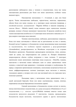 расположение наблюдается лишь у тычинок и плодолистиков, тогда как члены
околоцветника расположены уже более или менее циклически, особенно члены
внешнего круга.
Околоцветник магнолиевых 3 - 6-членный, в двух или более
кругах. Члены околоцветника свободные, черепитчатые, мясистые, окрашенные,
обычно более или менее сходные, но у некоторых видов магнолии (например, у
китайской магнолии лилиецветковой - Magnolia liliflora) и микелии (например, у
микелии Манна - Michelia mannii) члены внешнего круга значительно меньших
размеров, зеленые и больше напоминают чашелистики. В пределах семейства число
членов околоцветника колеблется от 21 (некоторые вилы магнолии и микелии) до 6 - 7
(род кмерия и некоторые виды микелии).
Тычинки многочисленные, свободные, расположенные спирально,
более или менее лентовидные и обычно еще не расчлененные на нить и связник,
большей частью 3-нервные и в большинстве случаев продолженные выше пыльников
(с надсвязником), что особенно хорошо выражено у рода аромадендрон
(Aromadendron), распространенного на Малайском полуострове и на островах
Малайского архипелага. Надсвязники аромадендрона щетинистые, очень длинные,
такой же длины, как микроспорангии или длиннее их. Попарно сближенные
микроспорангии обычно глубоко погружены в ткань тычинки. У некоторых
тропических видов магнолиевых (некоторые виды элмериллии - Elmerillia, талаумы,
манглиетии и магнолии) можно наблюдать один из самых примитивных типов
тычинок, в известной мере сравнимых с тычинками дегенерии и гальбулимимы. Но
наряду с широкими примитивными тычинками у магнолиевых встречаются более или
менее дифференцированные тычинки (некоторые виды магнолии и микелии,
тюльпанное дерево), у которых хотя и нет еще настоящей нити, но стерильная часть
несколько суженная.
Пыльцевые зерна у магнолиевых очень примитивного типа, с
одной дистальной бороздой, более или менее лодочковидные, гладкие, ямчатые,
шероховатые или редко бородавчатые (тюльпанное дерево).
Гинецей магнолиевых в большинстве случаев состоит из многих,
иногда многочисленных плодолистиков, но у рода пахиларнакс (Pachylarnax) от 8 до 2
плодолистиков, а у микелии горной (Michelia montana) имеется только один
плодолистик (результата редукции). У манглиетии, талаумы, аромадендрона,
большинства видов магнолии, тюльпанного дерева и других магнолиевых
3
 