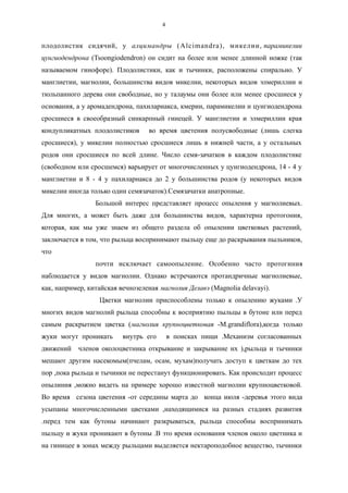 плодолистик сидячий, у алцимандры (Alcimandra), микелии, парамикелии
цунгиодендрона (Tsoongiodendron) он сидит на более или менее длинной ножке (так
называемом гинофоре). Плодолистики, как и тычинки, расположены спирально. У
манглиетии, магнолии, большинства видов микелии, некоторых видов элмериллии и
тюльпанного дерева они свободные, но у талаумы они более или менее сросшиеся у
основания, а у аромадендрона, пахиларнакса, кмерии, парамикелии и цунгиодендрона
сросшиеся в своеобразный синкарпный гинецей. У манглиетии и элмериллии края
кондупликатных плодолистиков во время цветения полусвободные (лишь слегка
сросшиеся), у микелии полностью сросшиеся лишь в нижней части, а у остальных
родов они сросшиеся по всей длине. Число семя-зачатков в каждом плодолистике
(свободном или сросшемся) варьирует от многочисленных у цунгиодендрона, 14 - 4 у
манглиетии и 8 - 4 у пахиларнакса до 2 у большинства родов (у некоторых видов
микелии иногда только один семязачаток).Семязачатки анатропные.
Большой интерес представляет процесс опыления у магнолиевых.
Для многих, а может быть даже для большинства видов, характерна протогония,
которая, как мы уже знаем из общего раздела об опылении цветковых растений,
заключается в том, что рыльца воспринимают пыльцу еще до раскрывания пыльников,
что
почти исключает самоопыление. Особенно часто протогиния
наблюдается у видов магнолии. Однако встречаются протандричные магнолиевые,
как, например, китайская вечнозеленая магнолия Делавэ (Magnolia delavayi).
Цветки магнолии приспособлены только к опылению жуками .У
многих видов магнолий рыльца способны к восприятию пыльцы в бутоне или перед
самым раскрытием цветка (магнолия крупноцветковая -M.grandiflora),когда только
жуки могут проникать внутрь его в поисках пищи .Механизм согласованных
движений членов околоцветника открывание и закрывание их ),рыльца и тычинки
мешают другим насекомым(пчелам, осам, мухам)получать доступ к цветкам до тех
пор ,пока рыльца и тычинки не перестанут функционировать. Как происходит процесс
опылиния ,можно видеть на примере хорошо известной магнолии крупноцветковой.
Во время сезона цветения -от середины марта до конца июля -деревья этого вида
усыпаны многочисленными цветками ,находящимися на разных стадиях развития
.перед тем как бутоны начинают разкрываться, рыльца способны воспринимать
пыльцу и жуки проникают в бутоны .В это время основания членов около цветника и
на гиницее в зонах между рыльцами выделяется нектароподобное вещество, тычинки
4
 