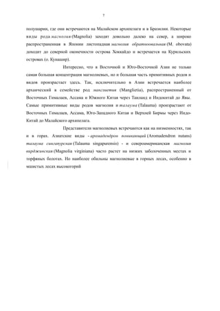 полушарии, где они встречаются на Малайском архипелаги и в Бразилии. Некоторые
виды рода магнолия (Magnolia) заходят довольно далеко на север, а широко
распространенная в Японии листопадная магнолия обратноовальная (M. obovata)
доходит до северной оконечности острова Хоккайдо и встречается на Курильских
островах (о. Кунашир).
Интересно, что в Восточной и Юго-Восточной Азии не только
самая большая концентрация магнолиевых, но и большая часть примитивных родов и
видов произрастает здесь. Так, исключительно в Азии встречается наиболее
архаический в семействе род манглиетия (Manglietia), распространенный от
Восточных Гималаев, Ассама и Южного Китая через Таиланд и Индокитай до Явы.
Самые примитивные виды родов магнолия и талаума (Talauma) произрастают от
Восточных Гималаев, Ассама, Юго-Западного Китая и Верхней Бирмы через Индо-
Китай до Малайского архипелага.
Представители магнолиевых встречаются как на низменностях, так
и в горах. Азиатские виды - аромадендрон поникающий (Aromadendron nutans)
талаума сингапурская (Talauma singapurensis) - и североамериканская магнолия
вирджинская (Magnolia virginiana) часто растет на низких заболоченных местах и
торфяных болотах. Но наиболее обильны магнолиевые в горных лесах, особенно в
мшистых лесах высокогорий
7
 