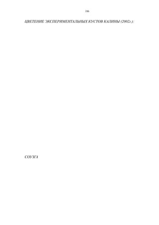 ЦВЕТЕНИЕ ЭКСПЕРИМЕНТАЛЬНЫХ КУСТОВ КАЛИНЫ (2002г.):
СОУЗГА
106
 
